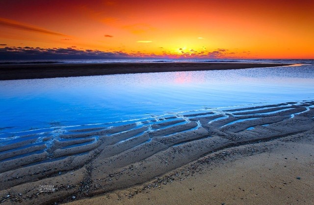 The Seagrove Suites & Guest Rooms - Luxurious King Studio Suite - Pets Allowed