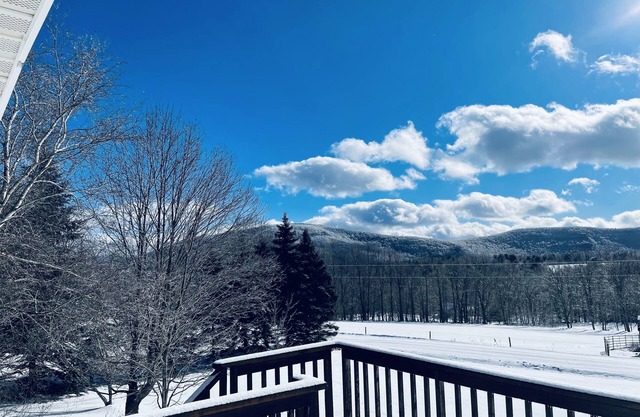 The Serene Gem! 10 min to Windham! 20 min to Hunter!