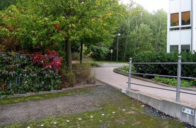 The spacious apartment with plenty of space and comfort at the edge of the forest
