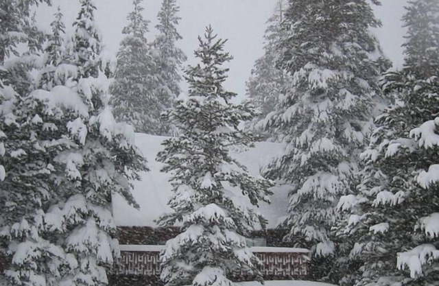 The Ultimate Kirkwood Cabin