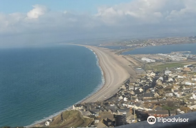 The Wilton Guest House