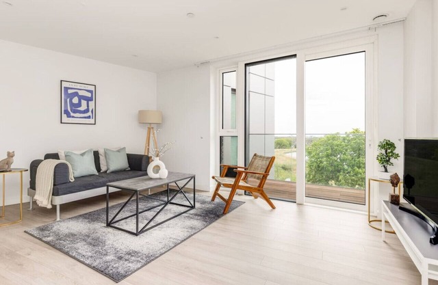 The Woodberry Collection
