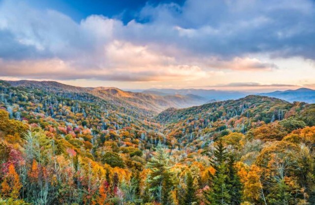 This condominium is a 2 bedroom(s), 2 bathrooms, located in Gatlinburg, TN.