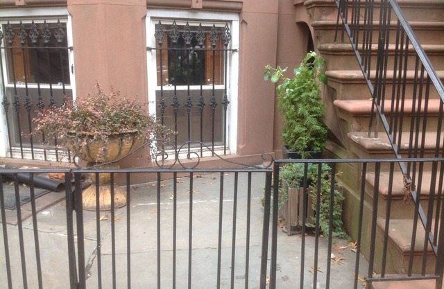 THIS IS A JEWEL. A brownstone located on a beautiful tree-lined block is a gem.