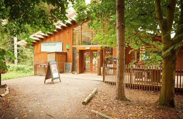 Thorpe Forest Cabins - Forest Holidays