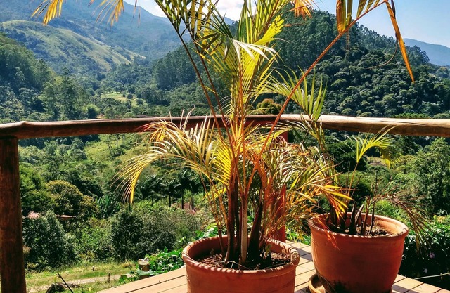 Tiê's Corner - Coziness in Nature