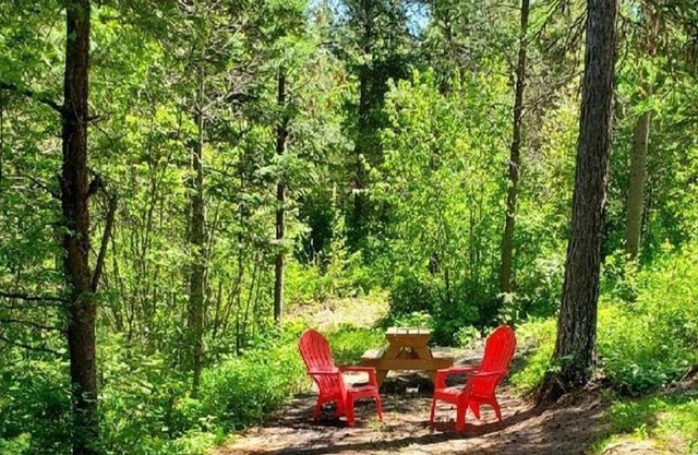 Timber Wolf Resort & Jeep Rentals