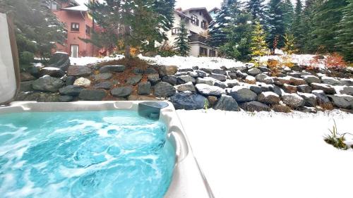 Timberline Village #12 home