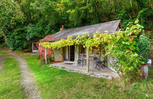 Tin mine riverside retreat, log fires, views, wildlife, ruins, pet-friendly