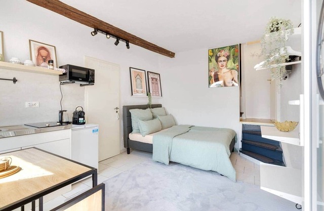 Tiny apartment with spacious terrace on the Rhine