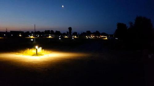 Tiny Haus C235 Wacholderdrossel