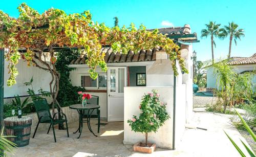 Tiny house 12m2 in holiday park with 55 m2 pool