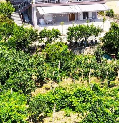 Toma's Guest House