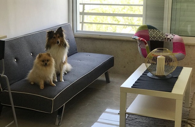 Top Central place: Haifa - Akko - Beach: Real home