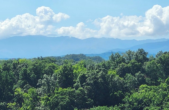 Top Floor, Incredible Mountain Views, In the Heart of All Attractions