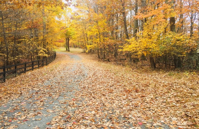 Top rated fall views!