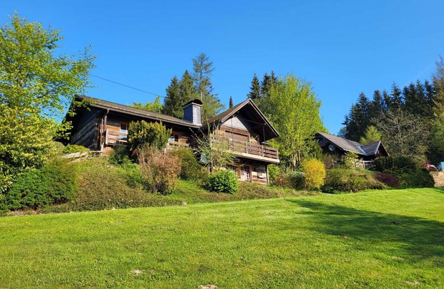 Top Willingen with sauna at ski slope/forest edge. Pet friendly!