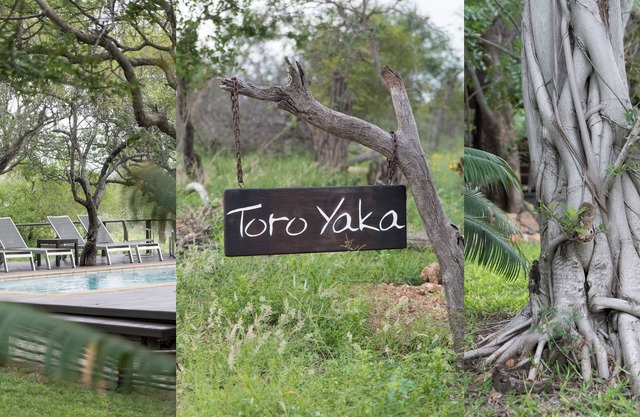 Toro Yaka Bush Lodge