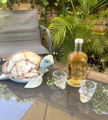 Tortuga, cozy little bungalow