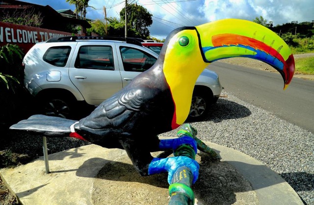 Toucan Lane