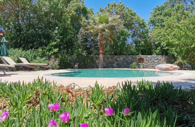 Traditional Stone Built Villa with Private Pool and Big Garden