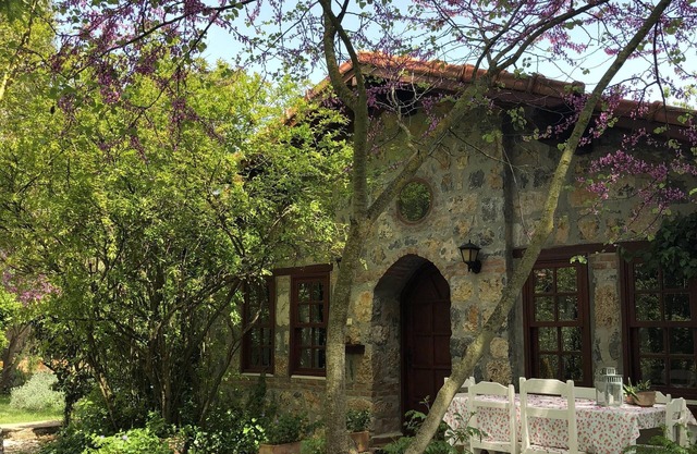 Traditional stone cottage with stunning garden in historic Kaya village.