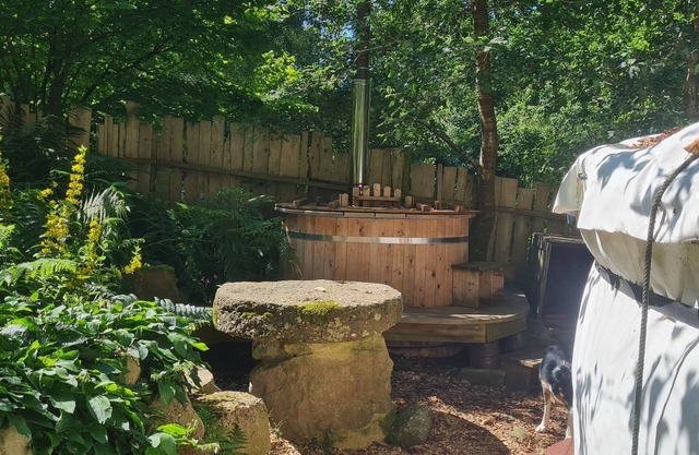 Traditional Yurt, woodburner, private loo, outdoor shower, woodfired hottub.