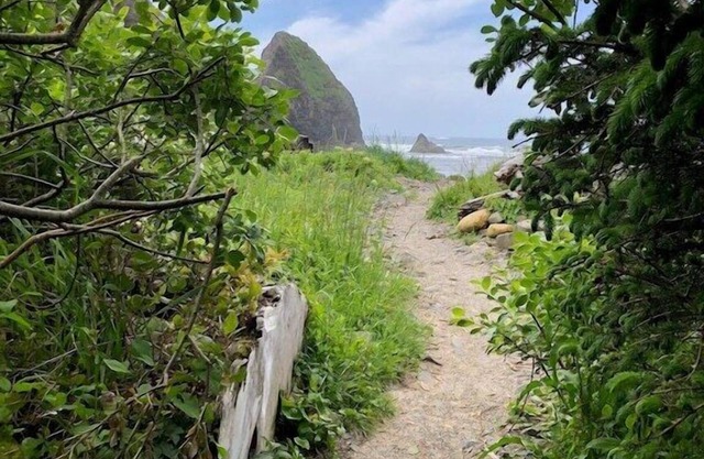 Tranquil Arch Cape Escape - Walk to the Beach!