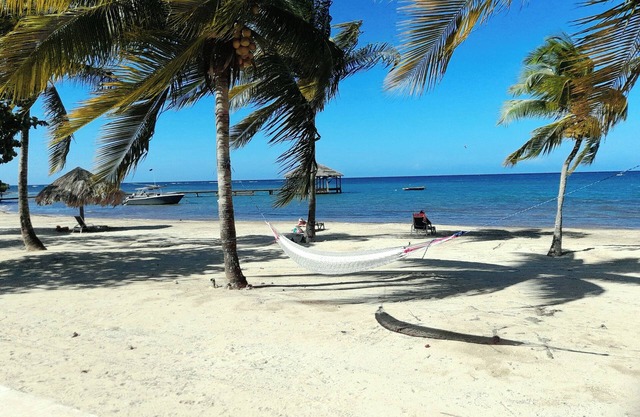Tranquil Bungalow In Gated Beach Resort Community. Pool, Restaurant, Dive Shop