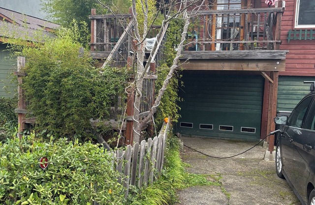 Tranquil cottage just a short walk to the Russian River in Guerneville