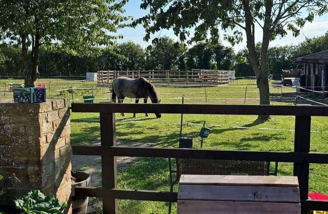 Tranquil Equestrian Escape - Sleeps 2