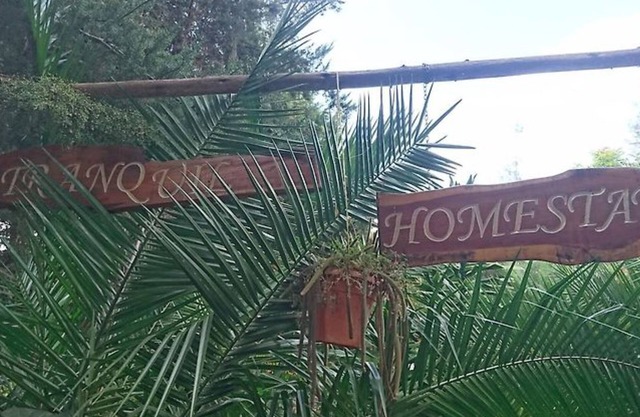 Tranquil Homestay