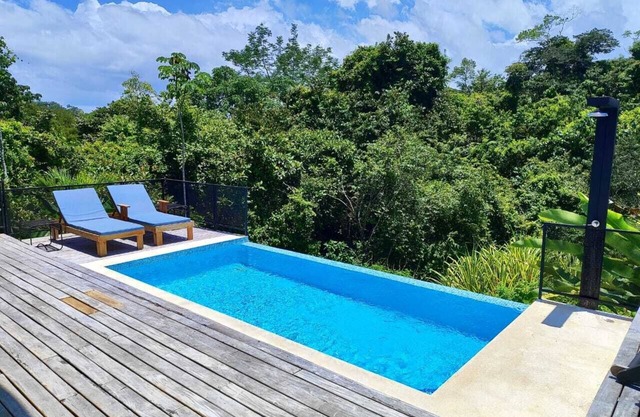 Tranquil Tropical Montezuma Oasis
