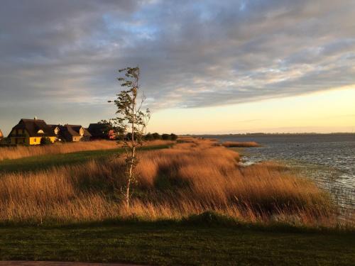 Traumhaus Ostwind- Rügen