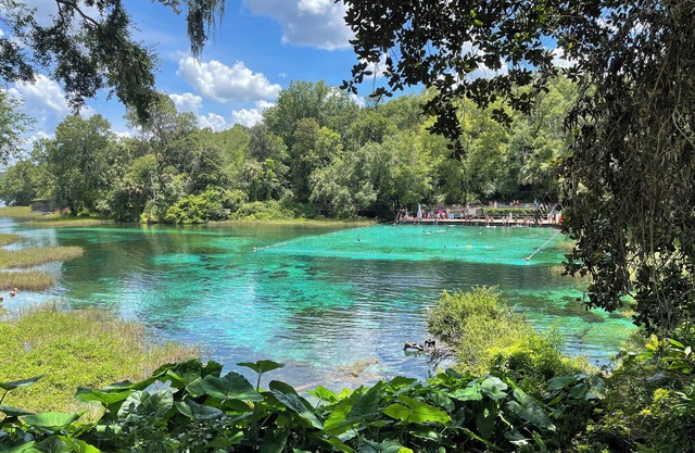 Travel and discover central Florida Springs while staying in our modest home.