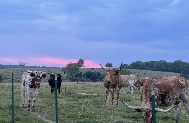 Travel Trailer Farm Getaway!