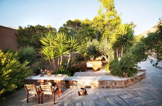 Tree Garden by the beach
