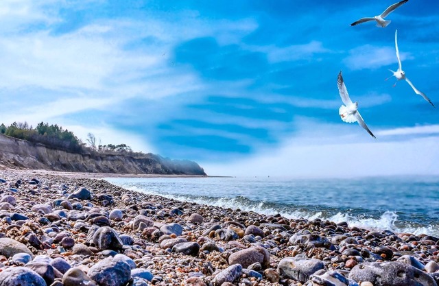Tree tent Ostseebreeze - Category 3 No. 15 - Ferienpark Bakenberg