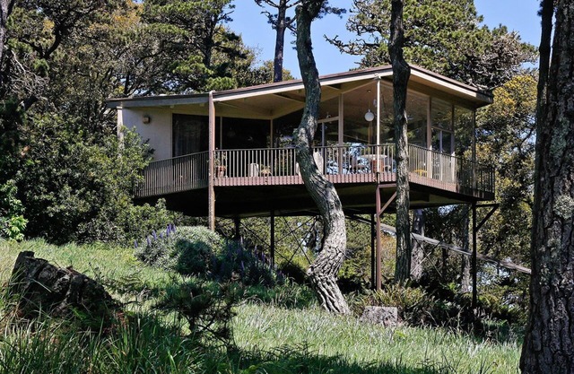 Tree Top Glass House - Hi House