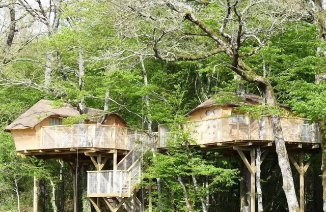 Treehouse 4 People