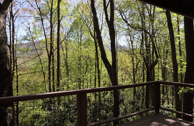 Treehouse Glamping 1 bordering GSMNP, Off-Grid