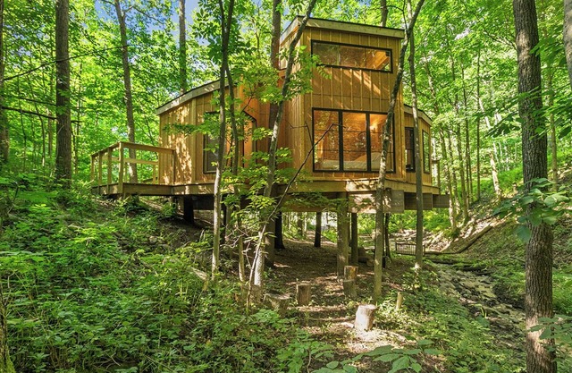 Treehouse in Ionia Michigan