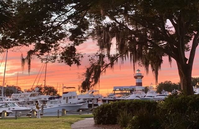 Treehouse in Forest by the SeanWalk to Harbourtown
