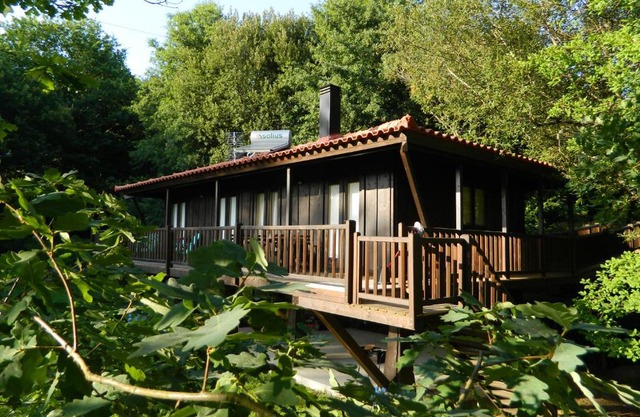 Treehouse Quinta Lamosa