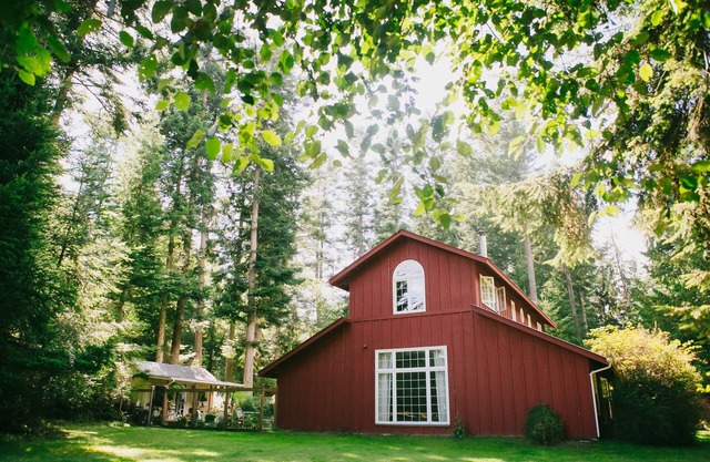 Treetop Pastoral Views, Beach Access, Beautiful Light in Converted Barn Apt.
