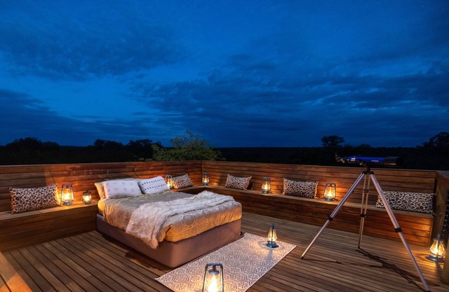 Treetop Sleepout Under the Stars