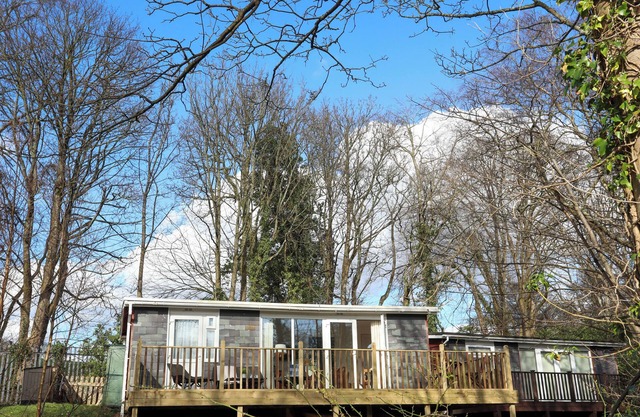 TREETOPS, pet friendly, with a garden in Caernarfon