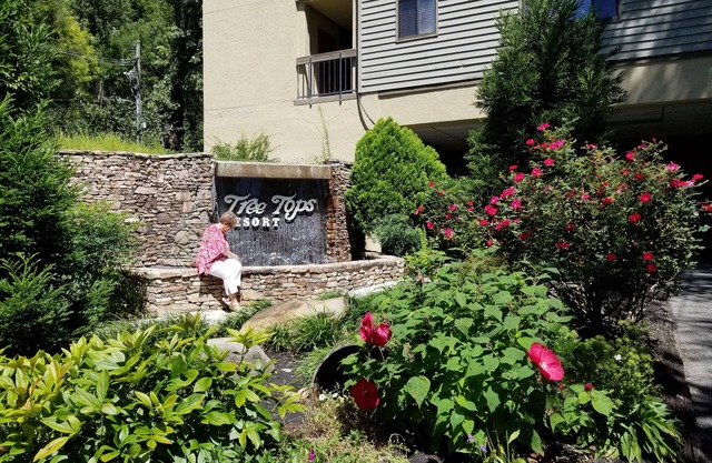 Treetops Resort on Roaring Fork Stream Gatlinburg 2Bd2Ba Condo SATURDAY Check In