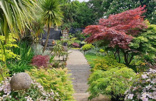 Tropical Garden Oasis