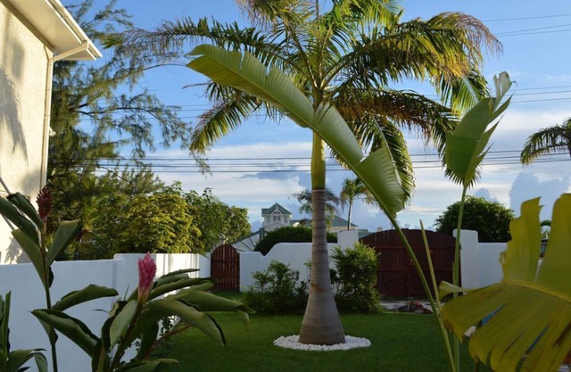 Tropical Gecko Studio - Only 80 meters from the Ocean!